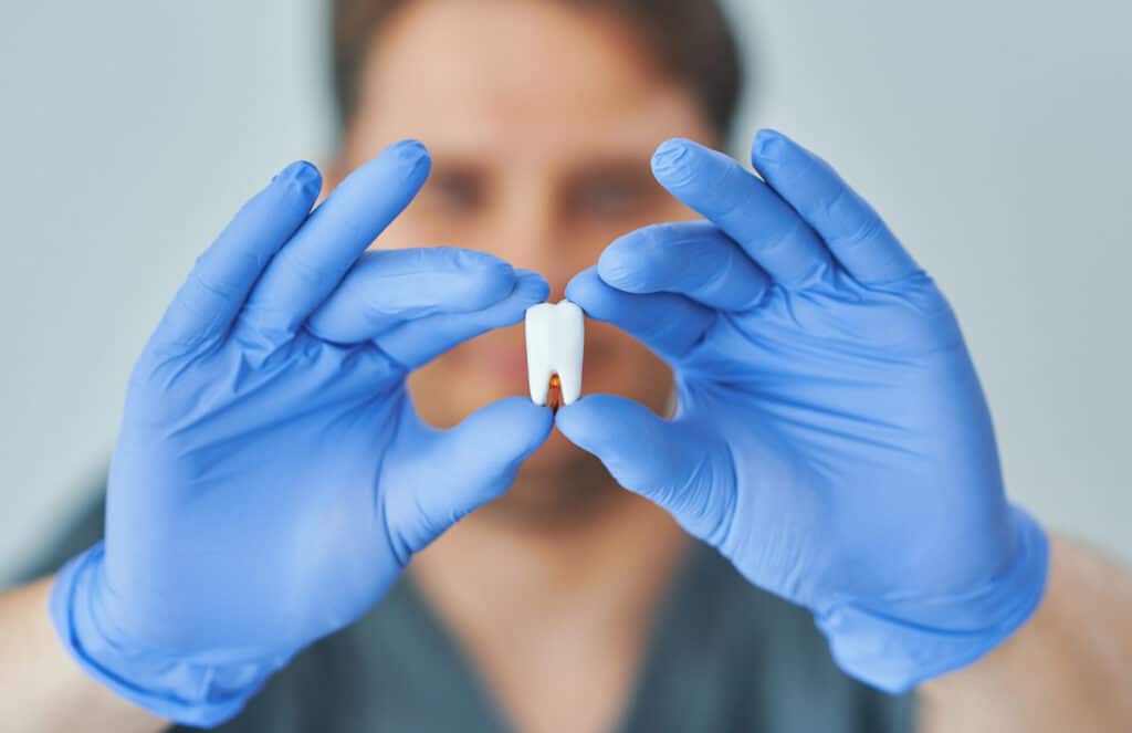 male dentist showing jaw and teeth to the camera 2022 05 15 23 00 49 utc scaled e1698678701280